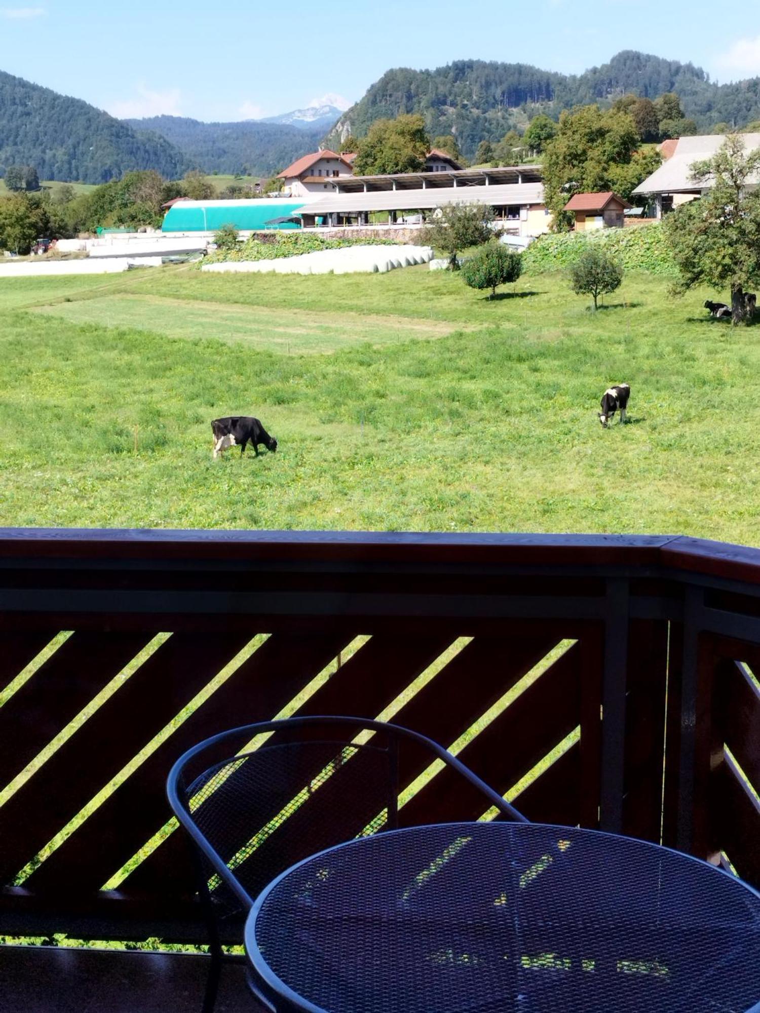 Apartma Julia Spodnje Gorje Exteriör bild